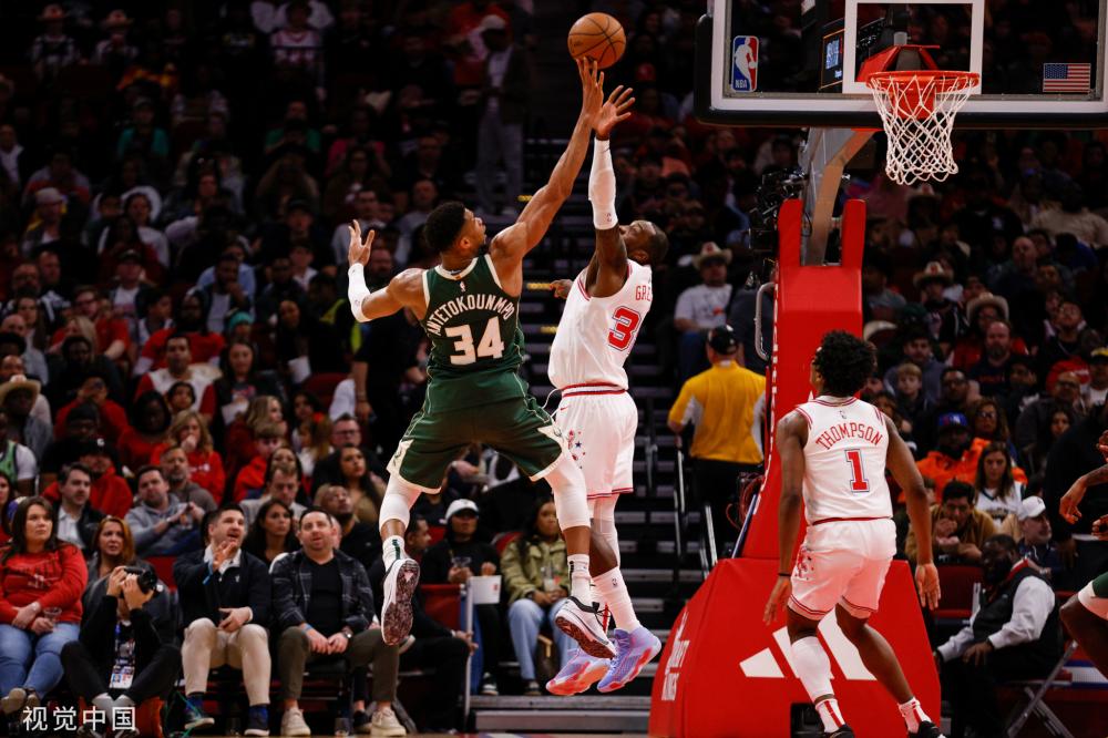 球迷们可以 球迷们可以