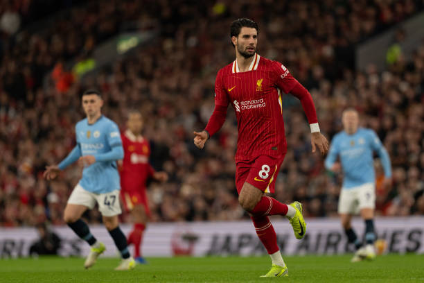 关注杰米的 关注杰米的