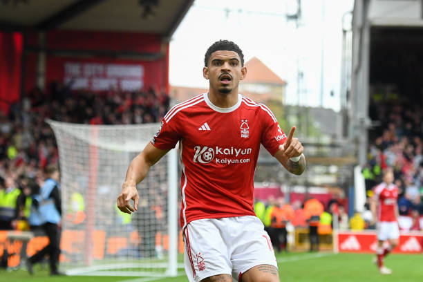 数量众多 数量众多